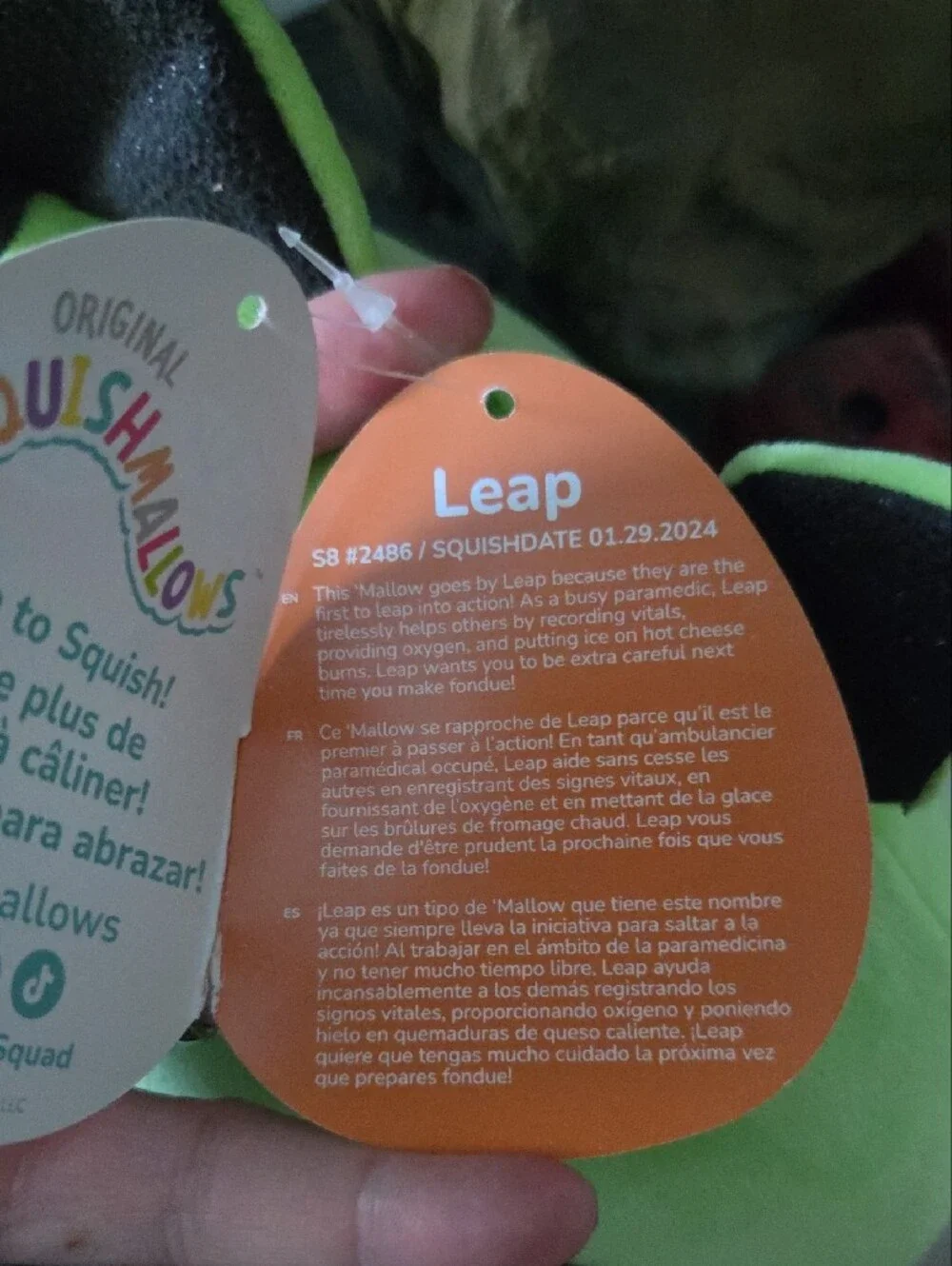 Squishmallows Green and Black Leap Plush Buddy